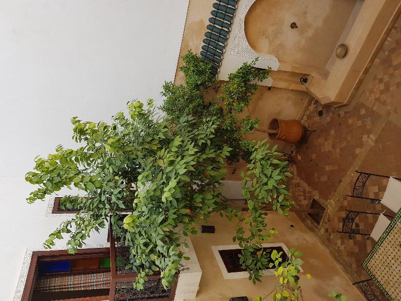 Dar Rania Hotel Marrakesh Exterior photo